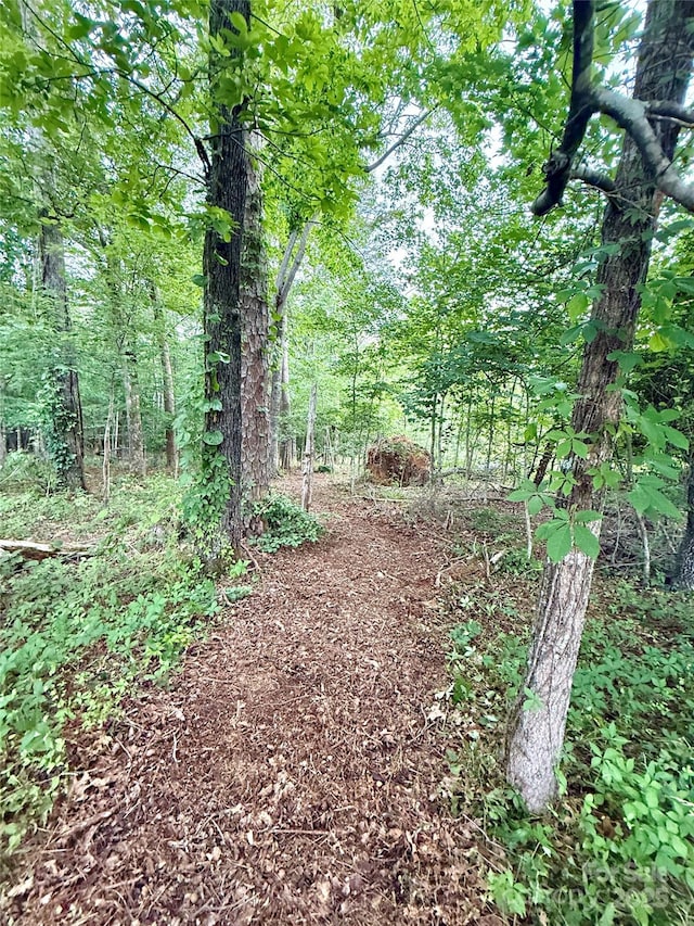 5188 Dysartsville Rd, Morganton, NC 28655 - view of wooded area