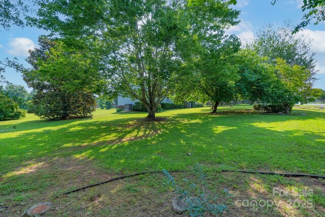 5211 Spring Gln, York, SC 29745 - view of green lawn