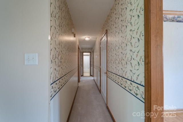 5211 Spring Gln, York, SC 29745 - corridor with wallpapered walls and light colored carpet