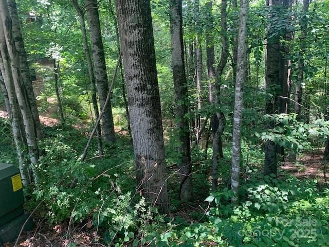 125 Browning Rd, Black Mountain, NC 28711