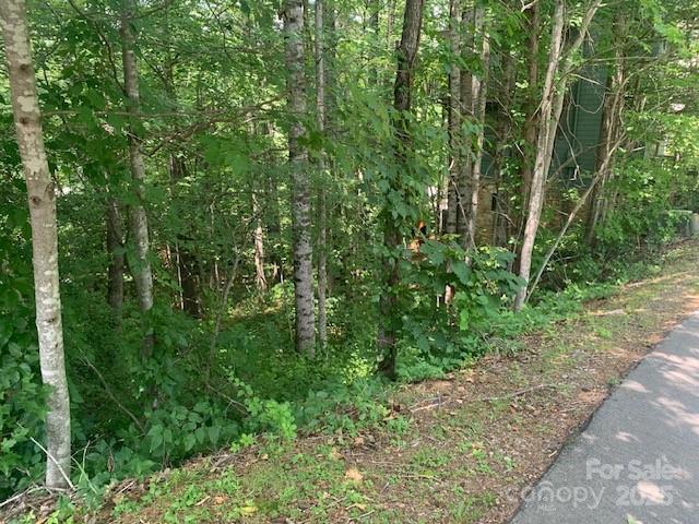 125 Browning Rd, Black Mountain, NC 28711