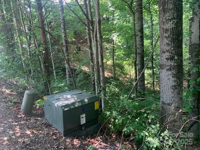 125 Browning Rd, Black Mountain, NC 28711