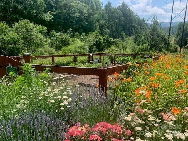 125 Browning Rd, Black Mountain, NC 28711