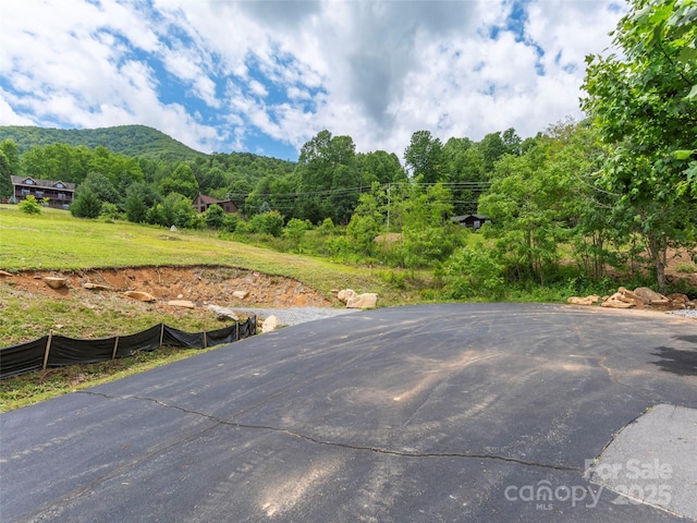 0 Camden Downs Rd Lot 9, Waynesville, NC 28785