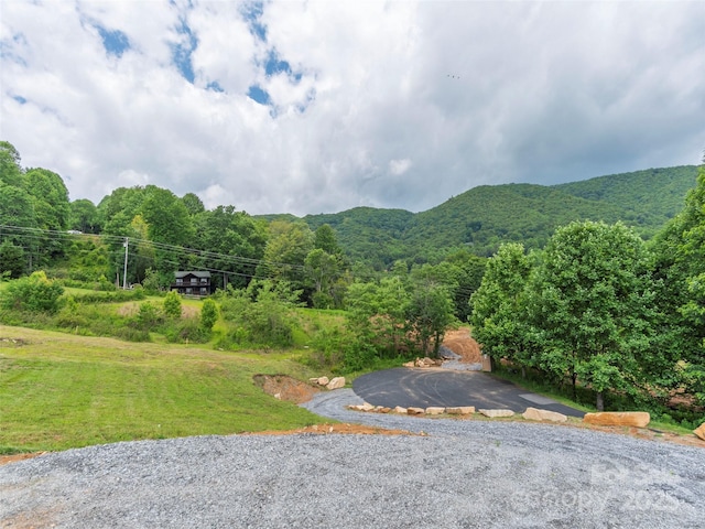 0 Camden Downs Rd Lot 9, Waynesville, NC 28785