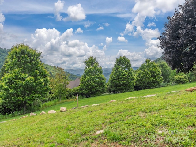 0 Camden Downs Rd Lot 9, Waynesville, NC 28785