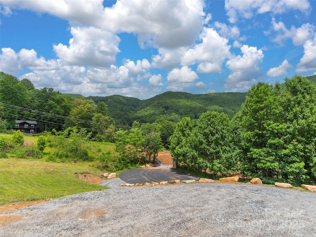 0 Camden Downs Rd Lot 9, Waynesville, NC 28785