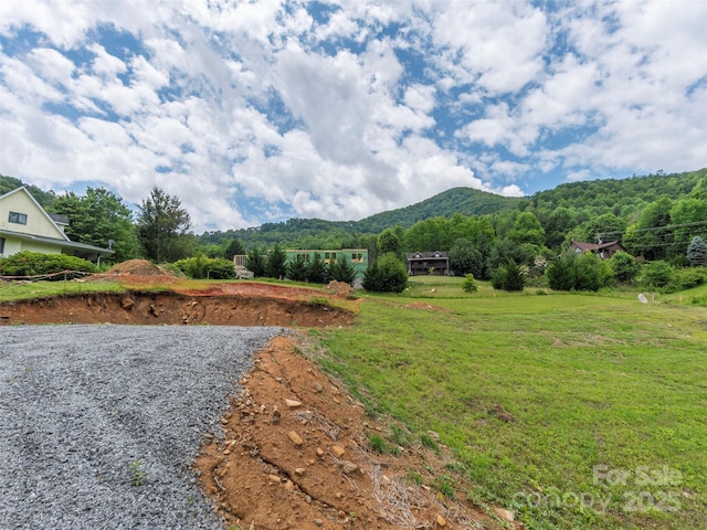 0 Camden Downs Rd Lot 9, Waynesville, NC 28785