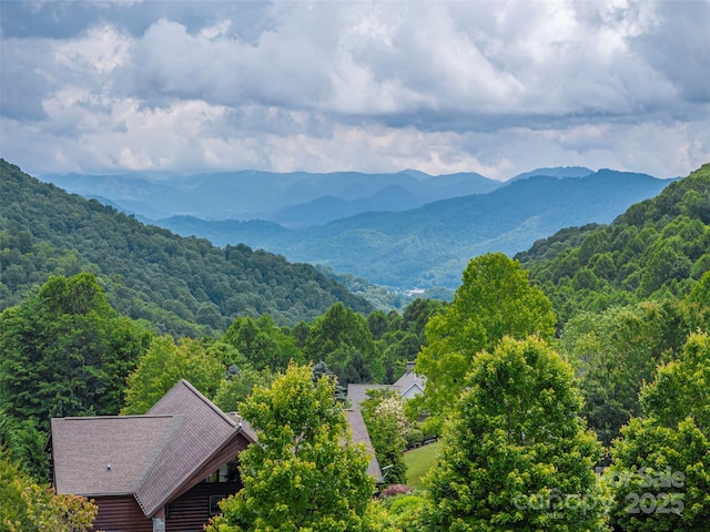 0 Camden Downs Rd Lot 9, Waynesville, NC 28785