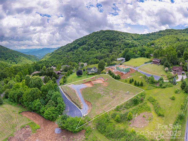 0 Camden Downs Rd Lot 9, Waynesville, NC 28785