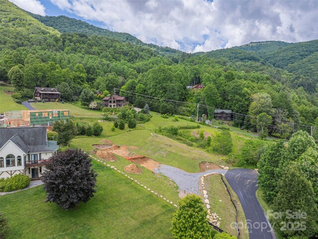 0 Camden Downs Rd Lot 9, Waynesville, NC 28785