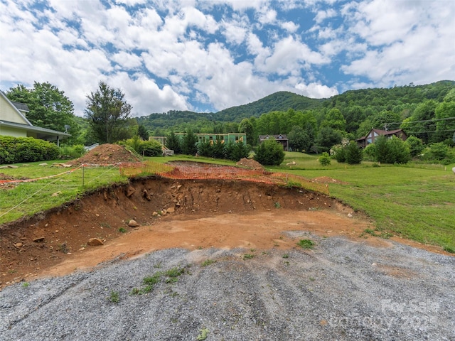 0 Camden Downs Rd Lot 9, Waynesville, NC 28785