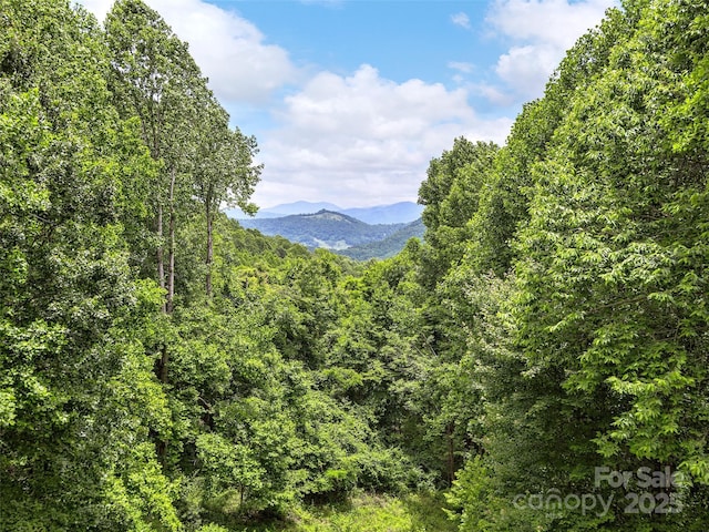 73 Pika Ln, Waynesville, NC 28785 - photo 7