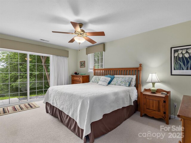 73 Pika Ln, Waynesville, NC 28785 - photo 23