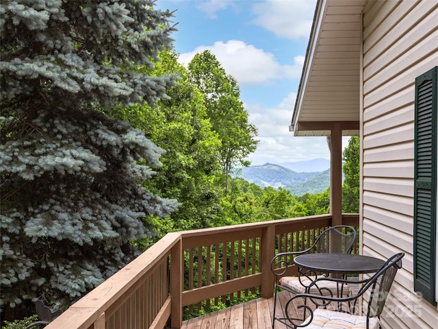 73 Pika Ln, Waynesville, NC 28785 - photo 24