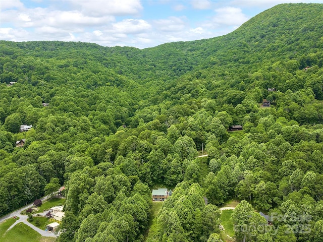 73 Pika Ln, Waynesville, NC 28785 - photo 30