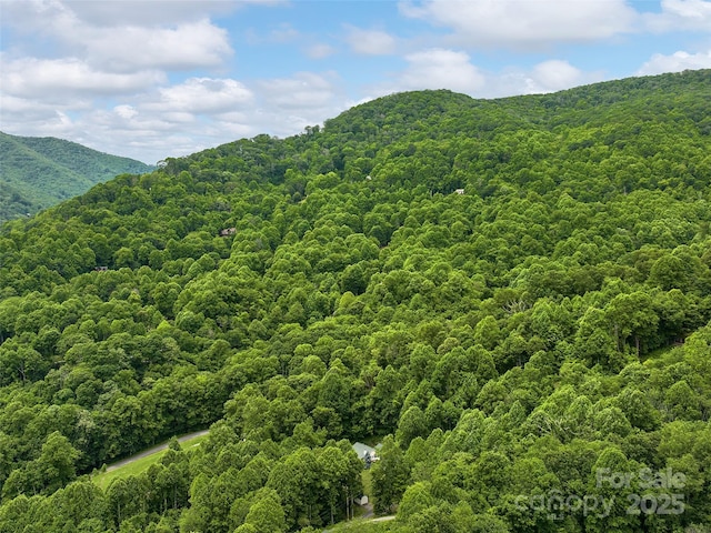 73 Pika Ln, Waynesville, NC 28785 - photo 31