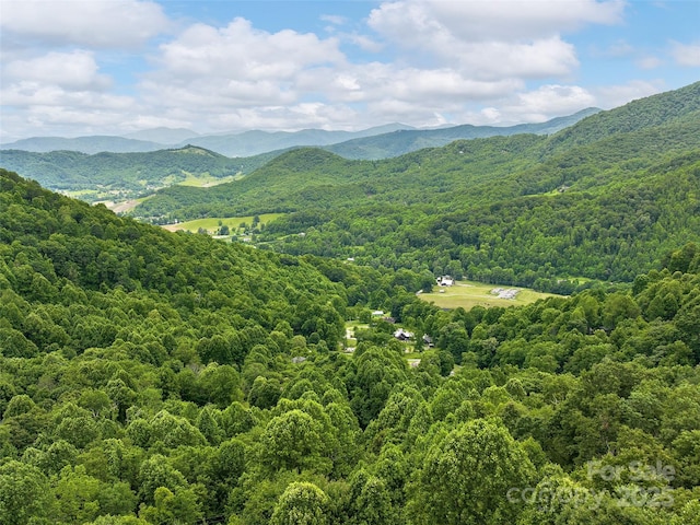 73 Pika Ln, Waynesville, NC 28785 - photo 32