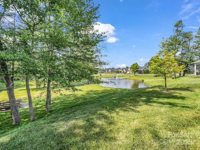 44 Gala Ln, Flat Rock, NC 28731 - photo 26