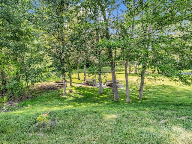 44 Gala Ln, Flat Rock, NC 28731 - photo 27