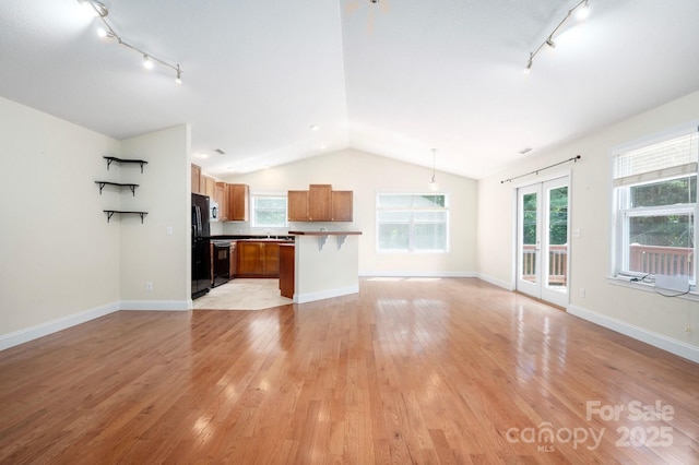 29 Honey Hollow Ln, Fairview, NC 28730 - unfurnished living room with rail lighting, vaulted ceiling, healthy amount of natural light, and light wood-style floors