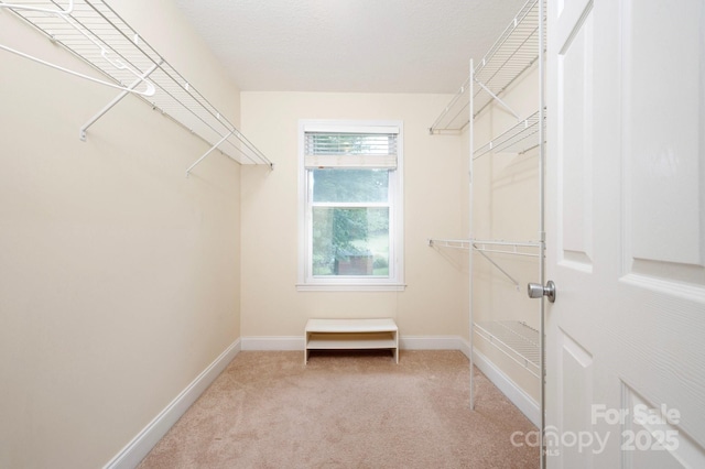 29 Honey Hollow Ln, Fairview, NC 28730 - walk in closet with light carpet