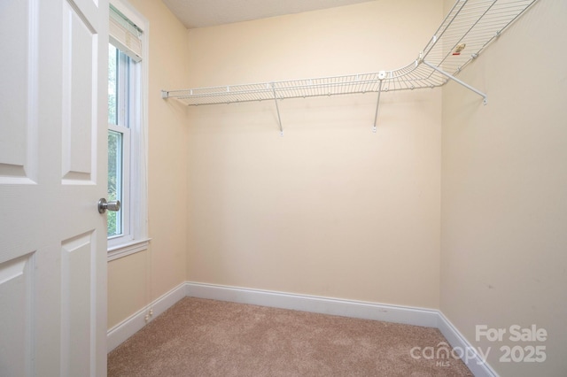 29 Honey Hollow Ln, Fairview, NC 28730 - spacious closet with carpet floors