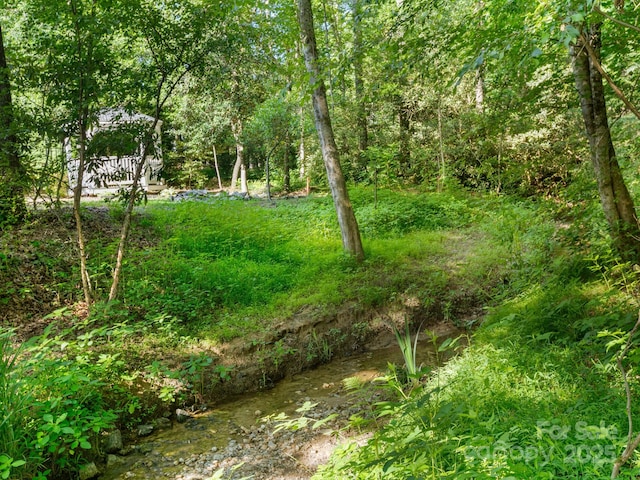 000 Old Town Way, Hendersonville, NC 28739 - photo 5