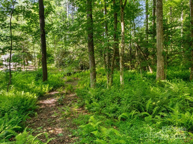 000 Old Town Way, Hendersonville, NC 28739 - photo 6