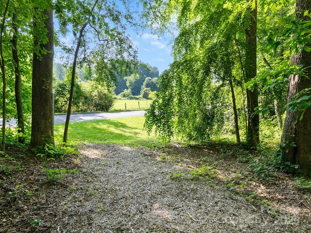 000 Old Town Way, Hendersonville, NC 28739 - photo 8