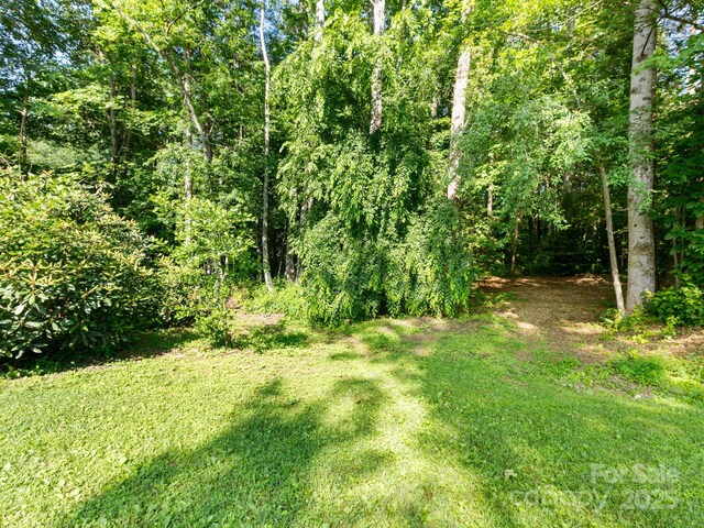 000 Old Town Way, Hendersonville, NC 28739 - photo 9