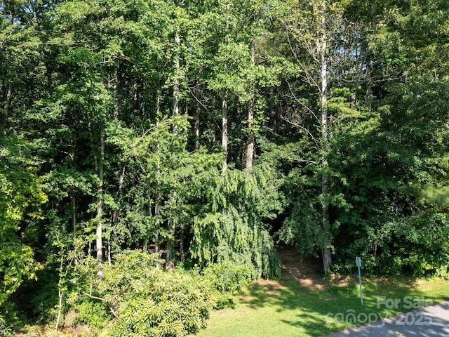 000 Old Town Way, Hendersonville, NC 28739 - photo 10