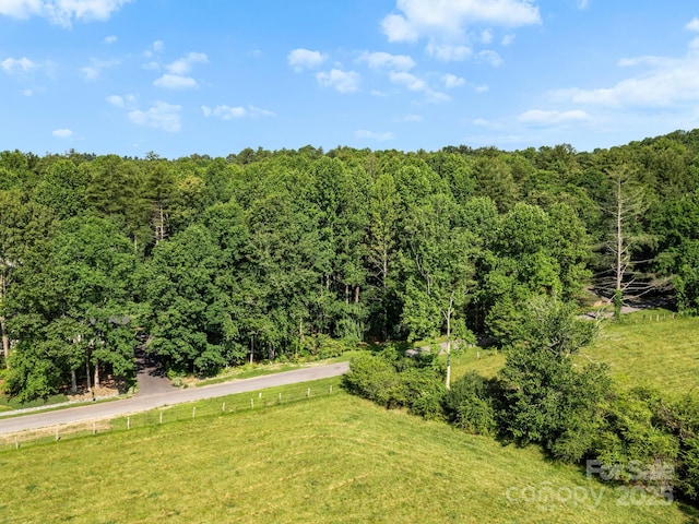000 Old Town Way, Hendersonville, NC 28739 - photo 11