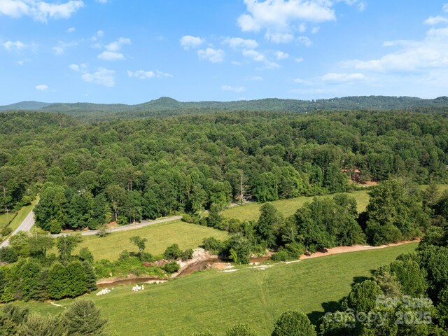 000 Old Town Way, Hendersonville, NC 28739 - photo 12