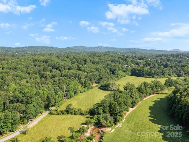 000 Old Town Way, Hendersonville, NC 28739 - photo 13
