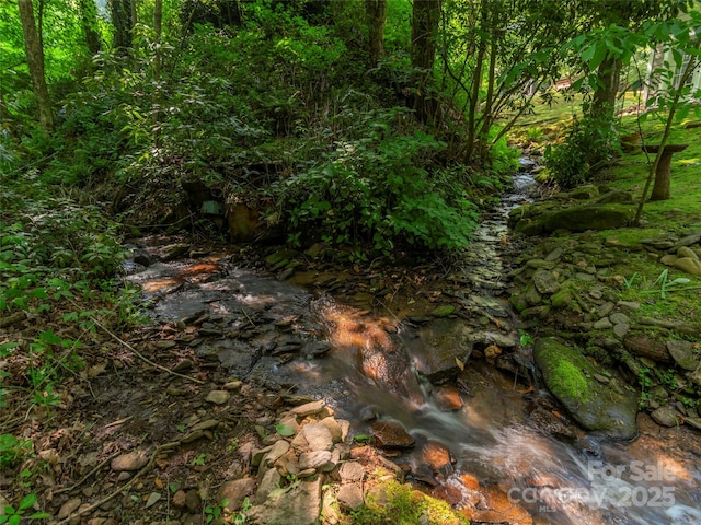1131 Laurel Branch Rd, Waynesville, NC 28785 - view of undeveloped land