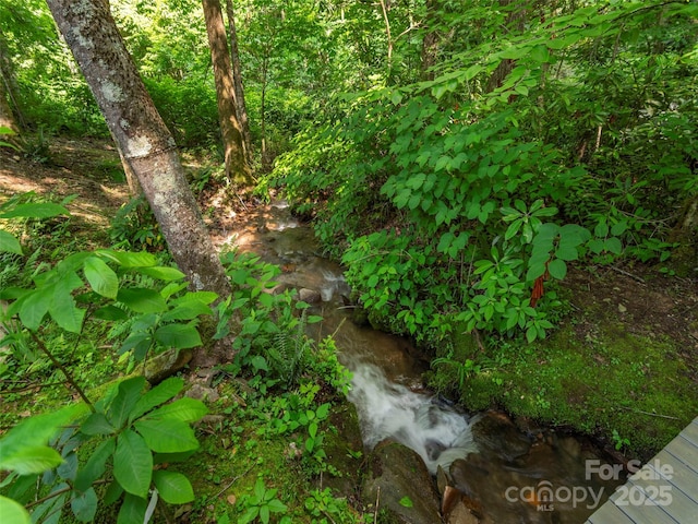 1131 Laurel Branch Rd, Waynesville, NC 28785 - view of local wilderness