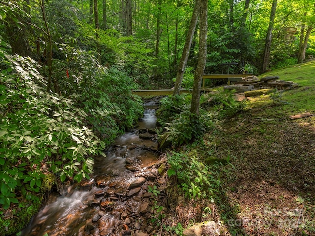 1131 Laurel Branch Rd, Waynesville, NC 28785 - view of woods