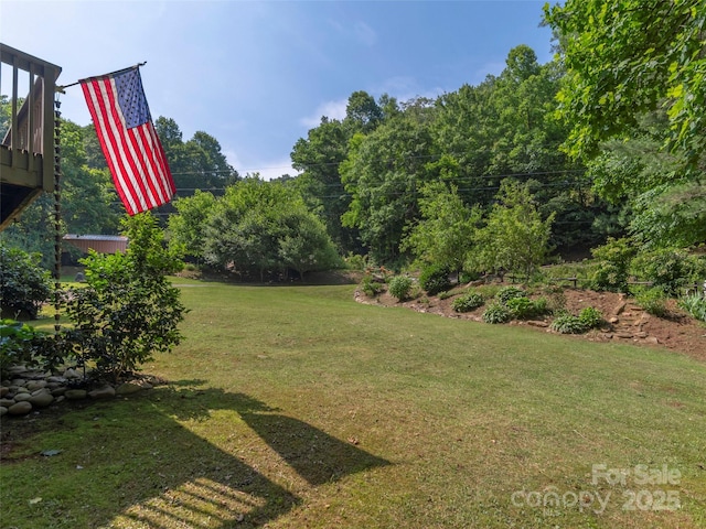 1131 Laurel Branch Rd, Waynesville, NC 28785 - view of green lawn