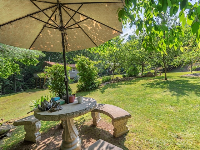 1131 Laurel Branch Rd, Waynesville, NC 28785 - view of green lawn