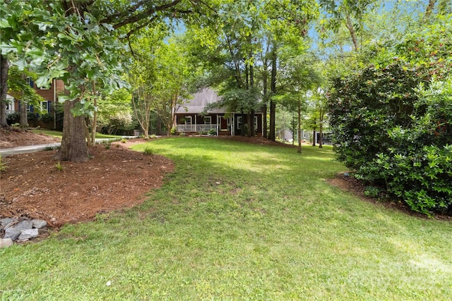 3092 Hitching Post Ln, Rock Hill, SC 29732 - view of grassy yard featuring a porch