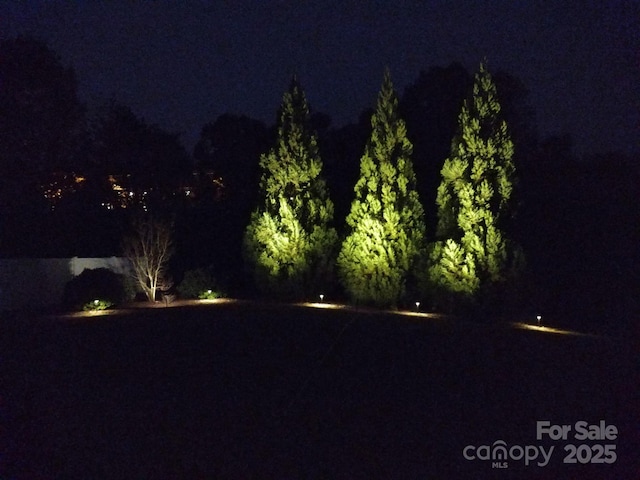6873 Lakecrest Ct, Denver, NC 28037 - photo 38