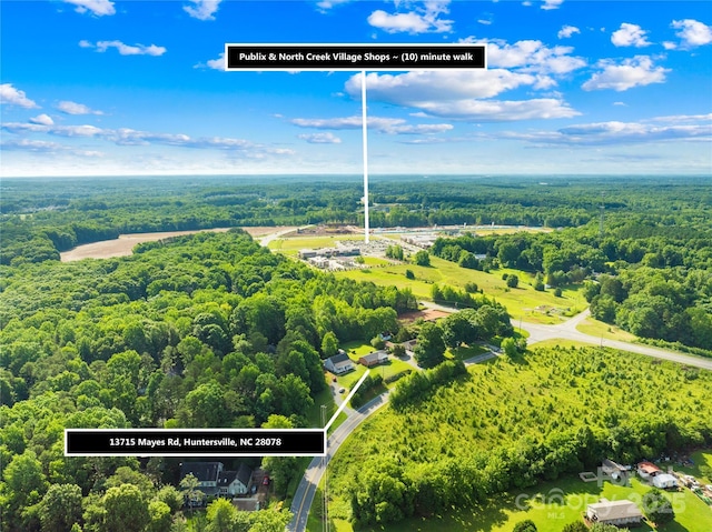 13715 Mayes Rd, Huntersville, NC 28078 - aerial view of a forest