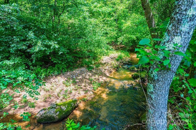3659 Vashti Rd, Taylorsville, NC 28681 - view of local wilderness