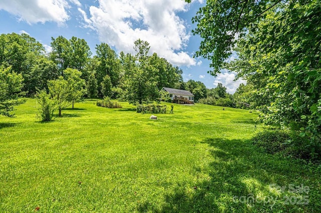 3659 Vashti Rd, Taylorsville, NC 28681 - view of green lawn