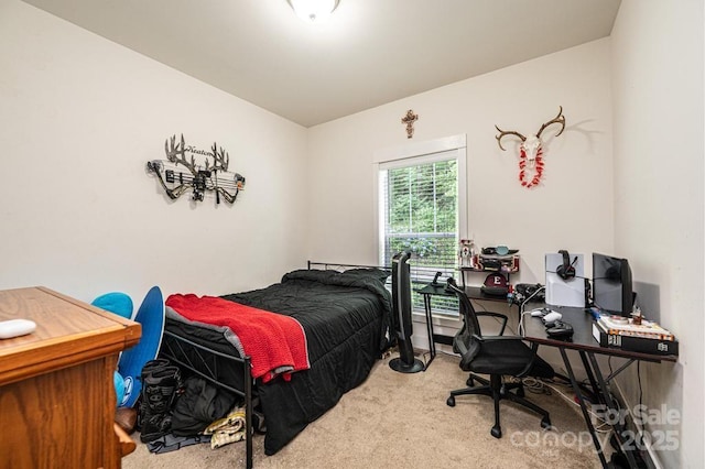 3659 Vashti Rd, Taylorsville, NC 28681 - carpeted bedroom with a desk