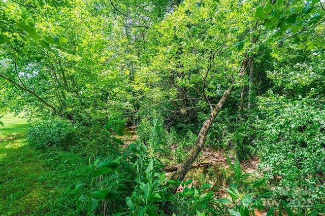 3659 Vashti Rd, Taylorsville, NC 28681 - view of tree filled area