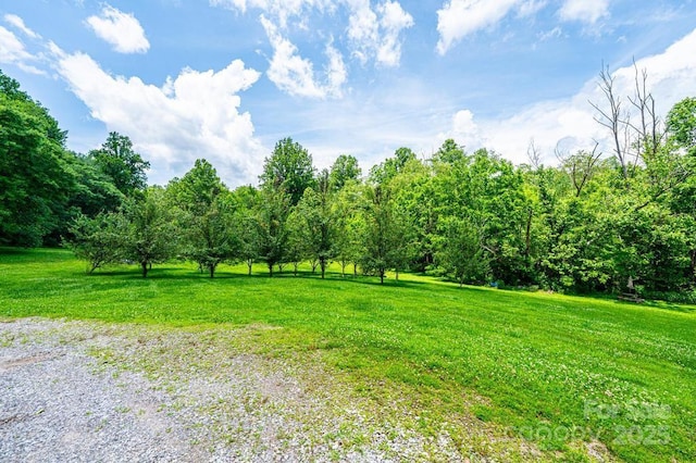 3659 Vashti Rd, Taylorsville, NC 28681 - view of green lawn