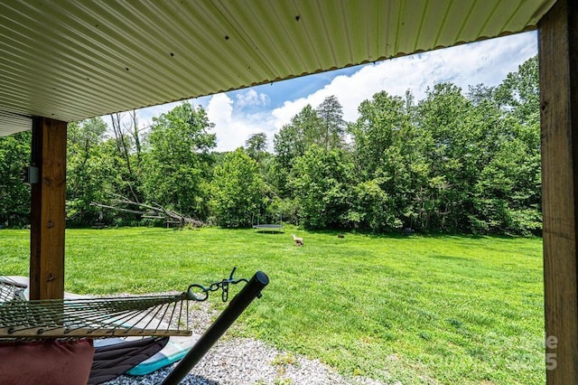 3659 Vashti Rd, Taylorsville, NC 28681 - view of green lawn featuring view of scattered trees