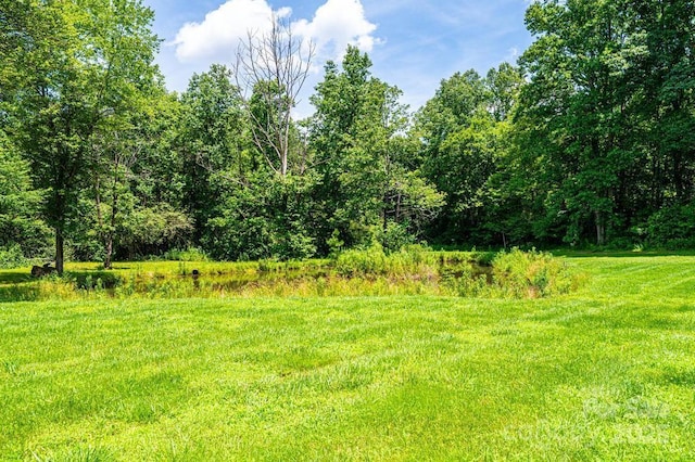 3659 Vashti Rd, Taylorsville, NC 28681 - view of wooded area